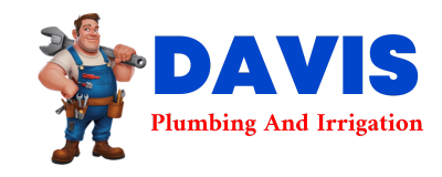 Trusted plumber in CAMERON MILLS